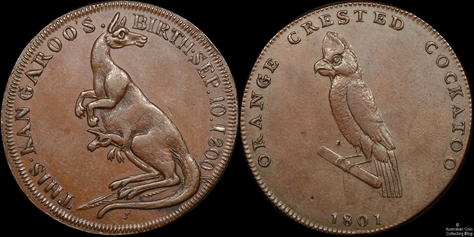 great-britain-1801-conder-token-pidcock-middlesex-dh-456