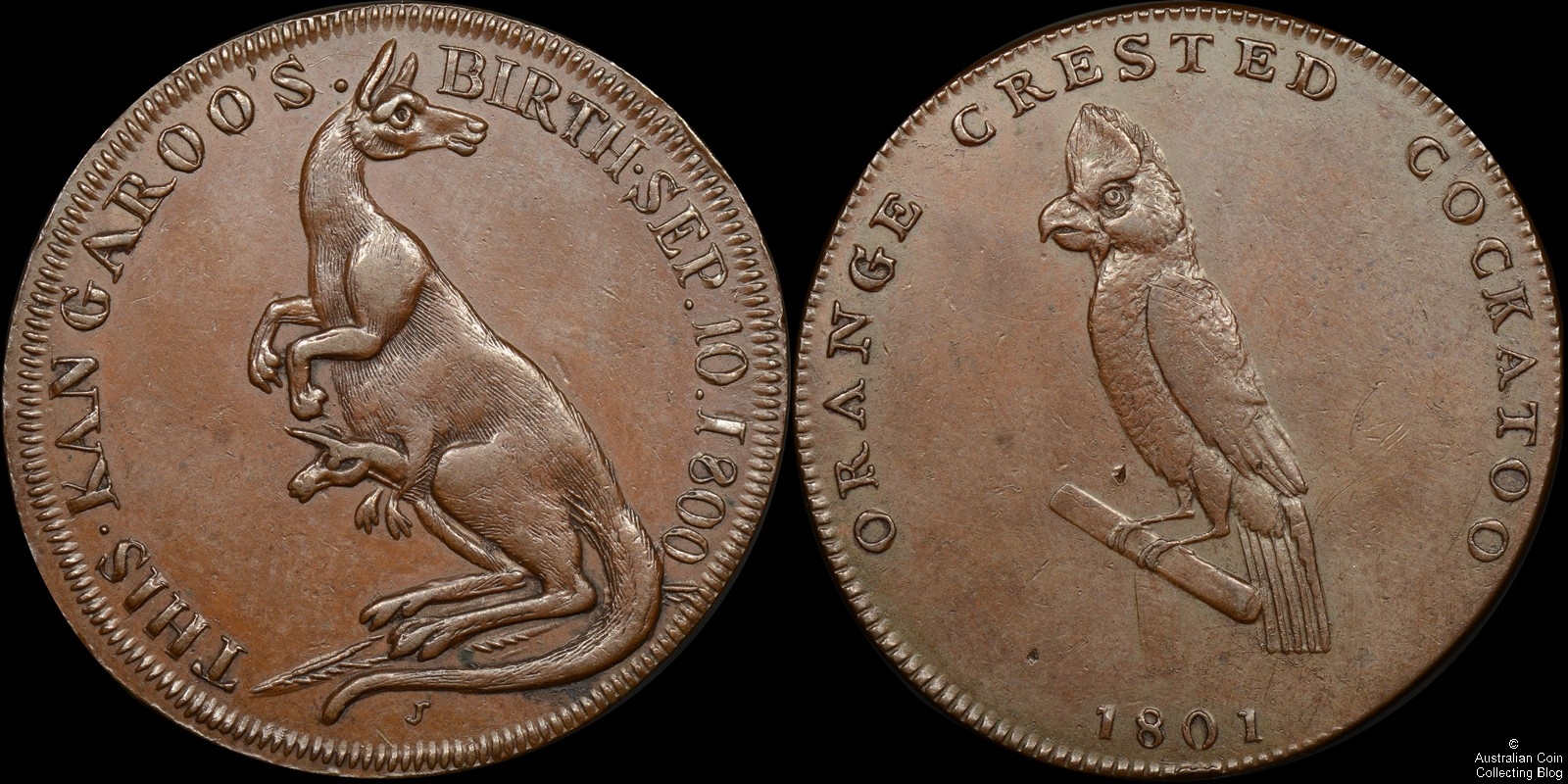 1801 Middlesex Farthing Pidcock’s Zoo Token D&H 456 PCGS AU55